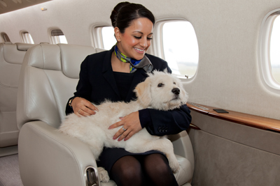 Pet flights by private jet